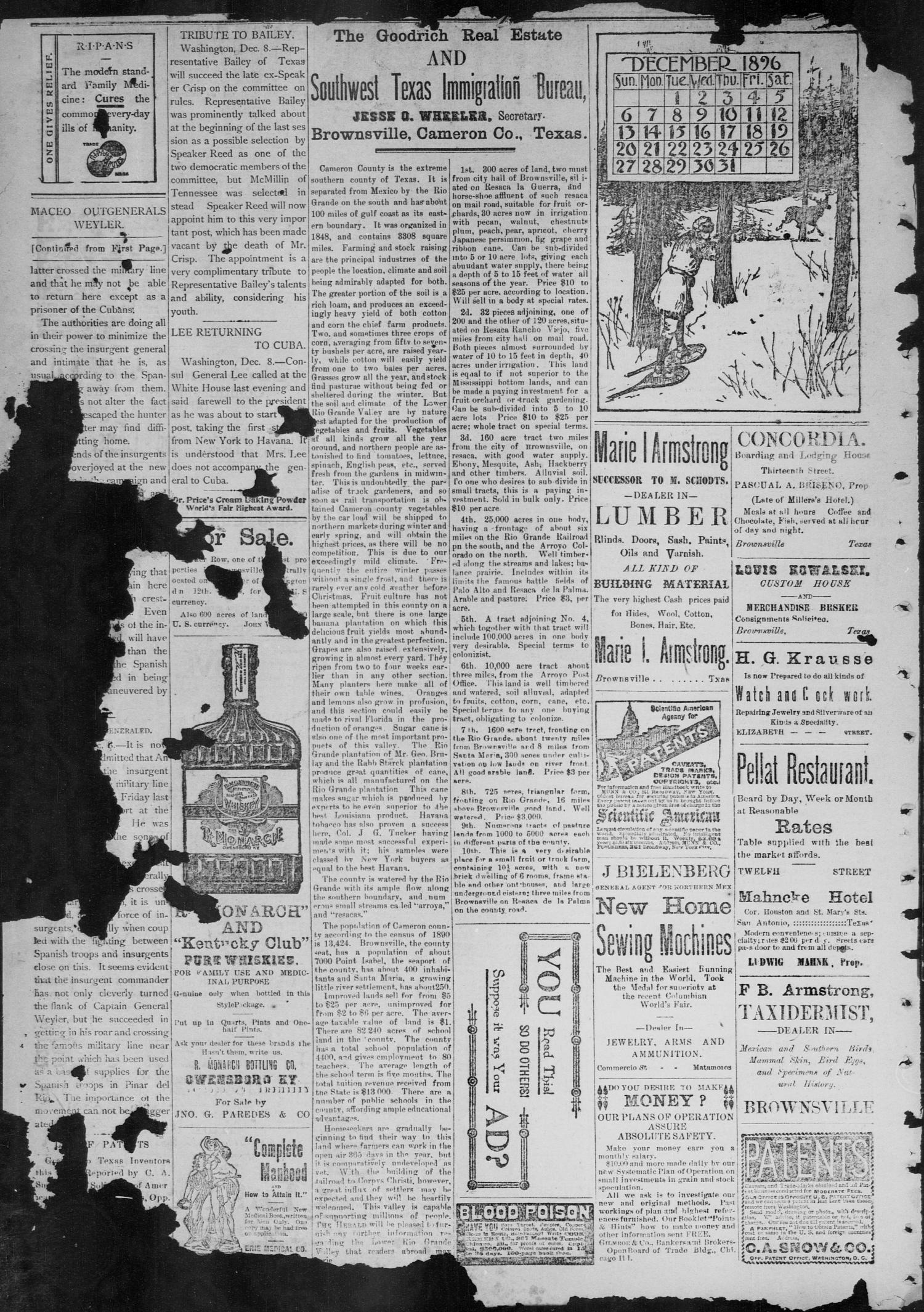 The Daily Herald (Brownsville, Tex.), Vol. 5, No. 139, Ed. 1, Saturday, December 12, 1896
                                                
                                                    [Sequence #]: 4 of 8
                                                