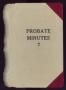 Book: Travis County Probate Records: Probate Minutes 7