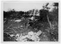 Photograph: [Wreckage of an Airplane]