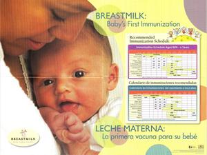 Primary view of object titled 'Breastmilk:  Baby's First Immunization'.