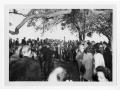 Photograph: [Crowd Gathered with LBJ Under Trees]