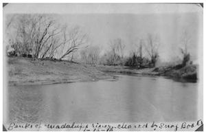 Primary view of object titled 'Banks of the Guadalupe River cleared by snag boats'.