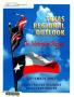 Pamphlet: Texas Regional Outlook, 2002: The Metroplex Region