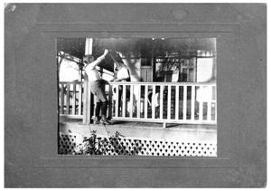 Primary view of object titled '[John A. Matthews, Jr. and Dogs on a Porch]'.