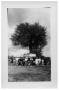 Photograph: [People in Front of a Truck and Tree]
