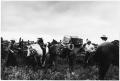 Photograph: [Cowboys and Horses Inside a Pen at the Matthews Ranch]