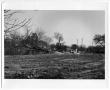 Photograph: Clearing land for HemisFair '68