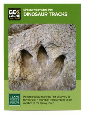 Primary view of object titled '[Trading Card: Dinosaur Tracks]'.
