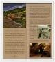 Thumbnail image of item number 2 in: 'Interpretive Guide to: Inks Lake State Park and Longhorn Cavern State Park'.