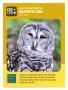 Thumbnail image of item number 1 in: '[Trading Card: Barred Owls]'.