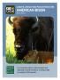 Text: [Trading Card: American Bison]