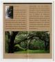 Thumbnail image of item number 2 in: 'Interpretive Guide to: Brazos Bend State Park'.