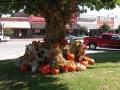 Photograph: Henderson County Courthouse, a lovely seasonal fall display