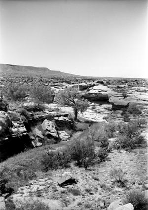 Primary view of object titled '[Rocky Dell, (Shelter looking northwest)]'.