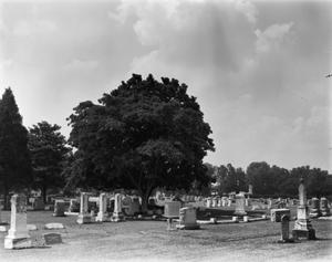 Primary view of object titled '[Oak Grove Cemetery]'.