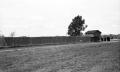 Photograph: [Fort Parker Restoration]