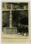 Photograph: [A Team of Horses Drinking from a Fountain]