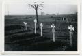 Photograph: [Photograph of Graves in Germany]