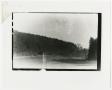 Photograph: [Armored Convoy Passing Through a Wooded Hillside Road]