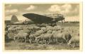 Primary view of [Postcard of Nazi Plane]