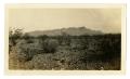 Photograph: [Photograph of Rim Rock from Johnson's Ranch]