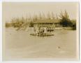 Photograph: [Photograph of a Group of Men Swimming]