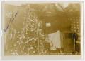 Photograph: [Photograph of the 2nd Division's Christmas Decorations]