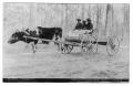 Primary view of [Postcard of Young Boys in Cattle-Pulled Wagon]