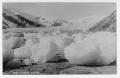 Primary view of [Postcard of Taku Glacier in Alaska]