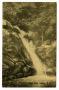 Primary view of [Postcard of Pace Falls in Saluda, North Carolina]