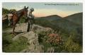 Thumbnail image of item number 1 in: '[Postcard of Craggy Mountains near Asheville, North Carolina]'.