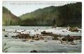 Thumbnail image of item number 1 in: '[Postcard of Rapids at French Road Broad]'.