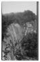Primary view of [Postcard of The Falls at Chimney Rock]