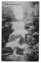 Primary view of [Postcard of Bradley Falls, North Carolina]