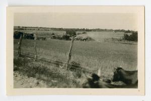 Primary view of object titled '[Farmland in Burnet, Texas]'.