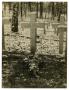Photograph: [Photograph of Henry Clay, Jr.'s Grave Marker]