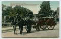Primary view of [Postcard of a Horse-Drawn Fire Engine]