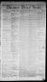 Primary view of Denison Daily News. (Denison, Tex.), Vol. 2, No. 24, Ed. 1 Sunday, March 22, 1874