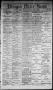 Primary view of Denison Daily News. (Denison, Tex.), Vol. 2, No. 112, Ed. 1 Monday, July 6, 1874