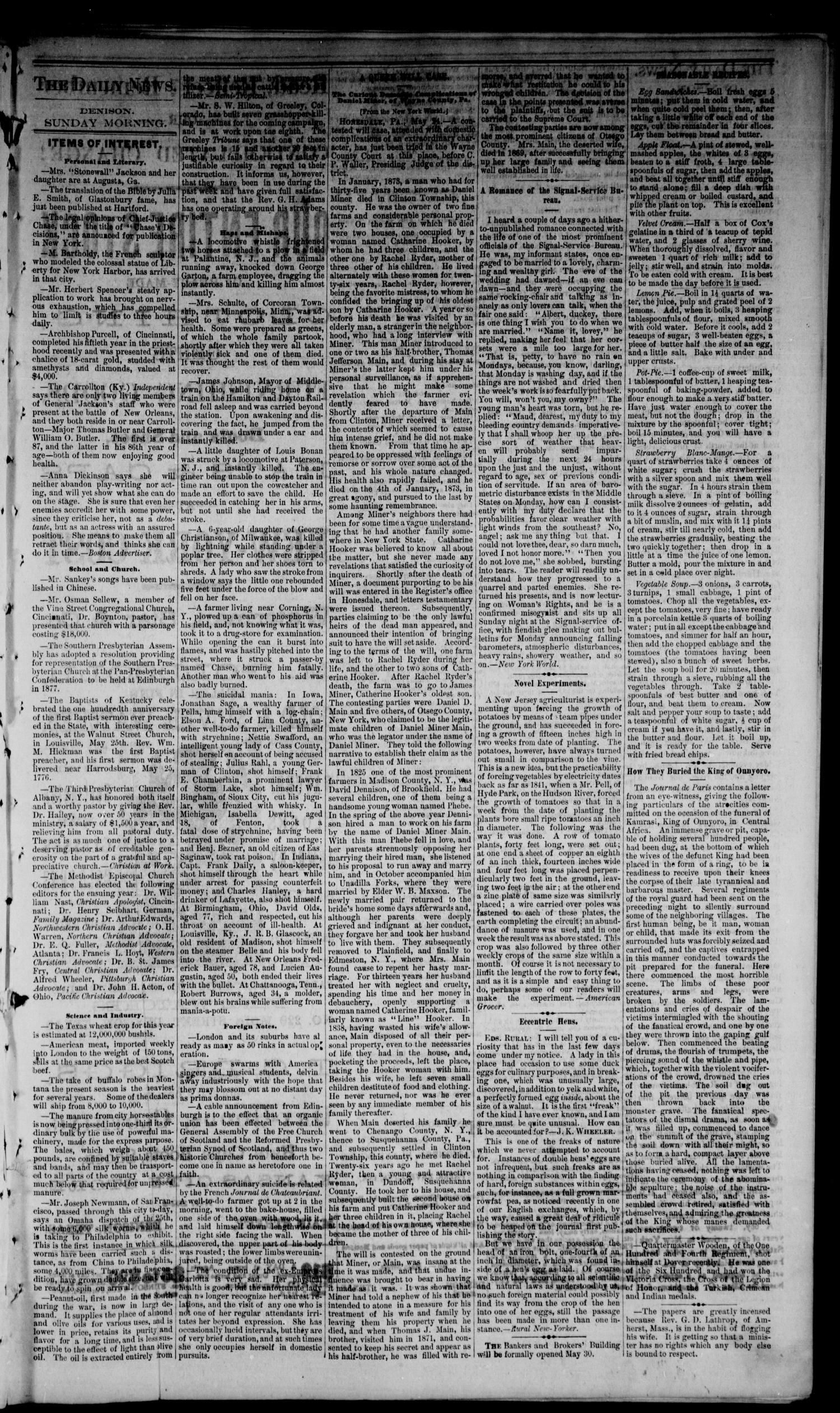 Denison Daily News. (Denison, Tex.), Vol. 4, No. 89, Ed. 1 Sunday, June 4, 1876
                                                
                                                    [Sequence #]: 3 of 8
                                                