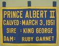 Thumbnail image of item number 1 in: '[Blue canvas and yellow felt banner that states: "PRINCE ALBERT II CALVED: MARCH 3, 1951]'.