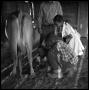 Photograph: [Children Looking at a Cow]