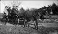 Primary view of [Buckboard Wagon with Passengers on Dirt Road]