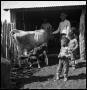 Photograph: [Cowboys and Children with a Nursing Cow]