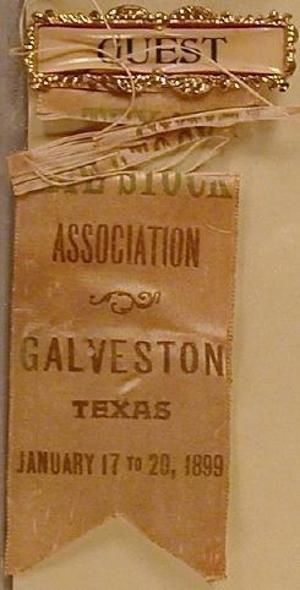 Primary view of object titled '[Commemorative ribbon "GUEST" at top in metal frame]'.