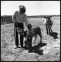 Photograph: [Jack Newcomb and a Boy with a Roped Calf]