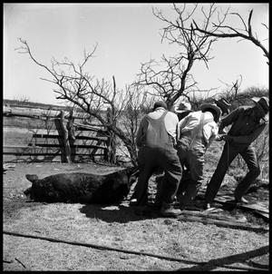 Primary view of object titled '[Men Dragging a Dead Hog]'.