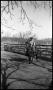 Photograph: [Mounted Cowboy by Fence]