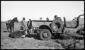Photograph: [Ranchers with a Jeep and Animals]