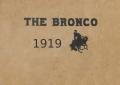 Primary view of The Bronco, Yearbook of Denton High School, 1919